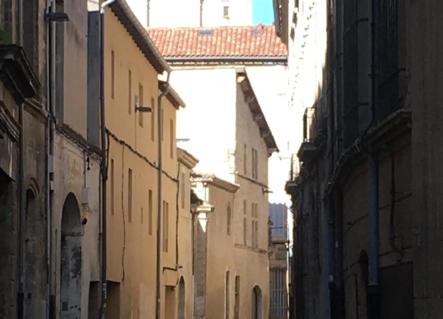 Appartement Studio Avec Terrasse Sur Cour, Authentique, Calme Avignon France