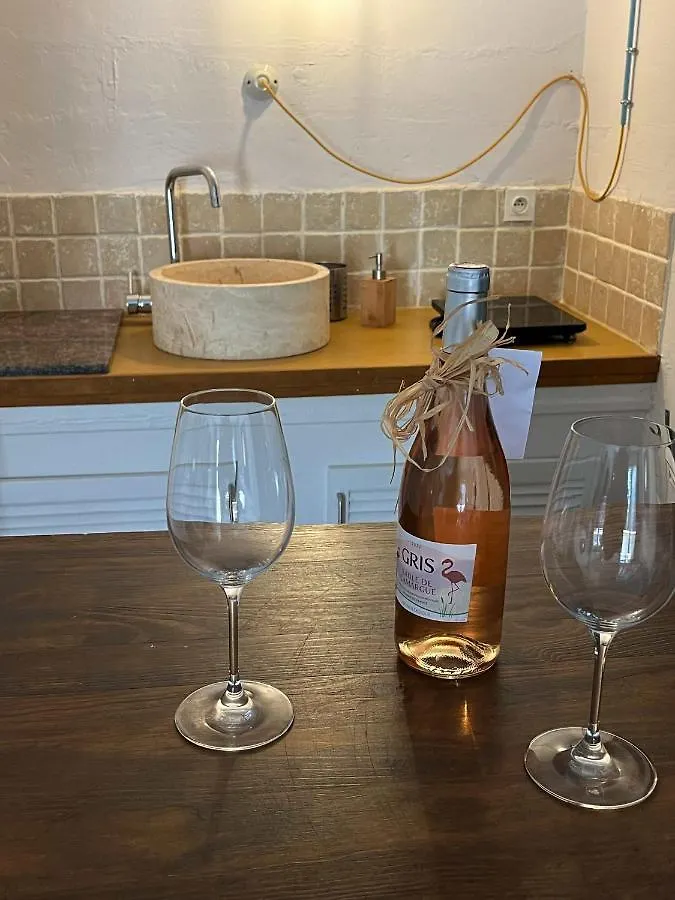 Studio Avec Terrasse Sur Cour, Authentique, Calme Avignon France